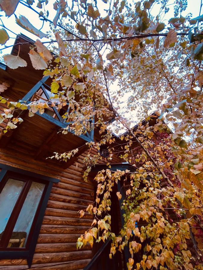 Boutigue Hotel Nebesa Chimgan Luaran gambar
